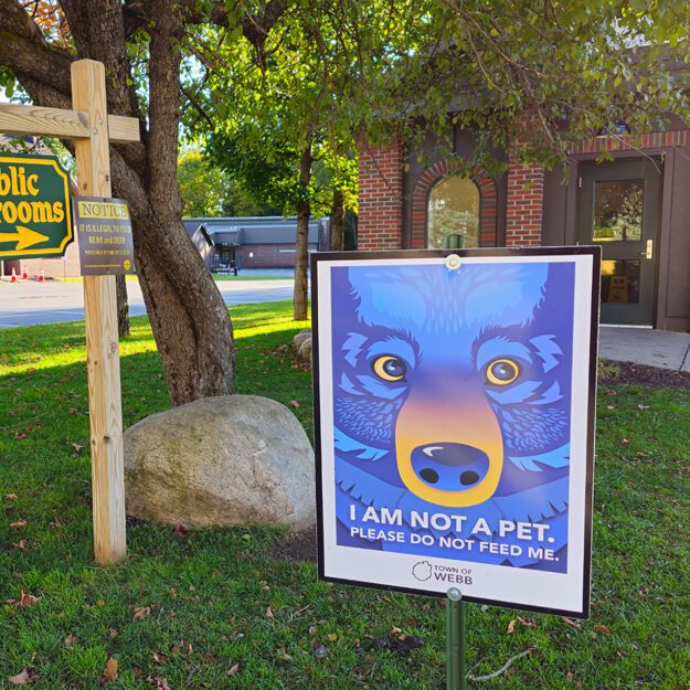 a sign urging people not to feed bears in the town of webb