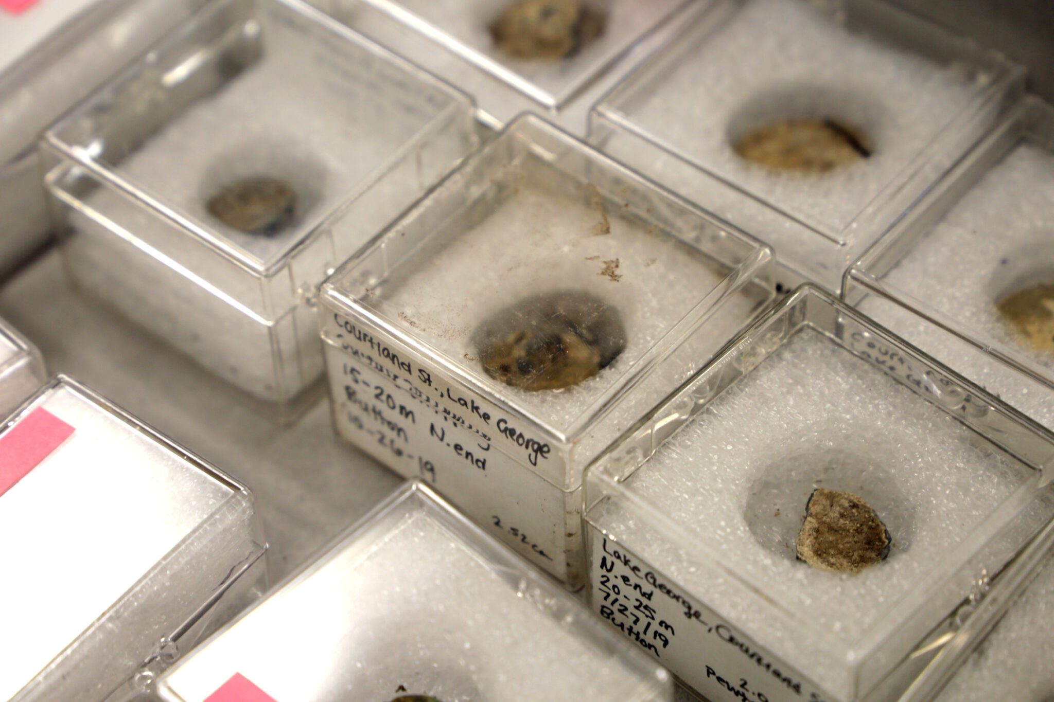 Eighteenth-century buttons unearthed on Courtland Street in Lake George and kept at the New York State Museum in Albany.