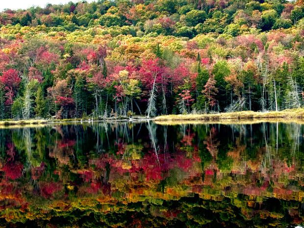 fall foliage color reflected in a lake