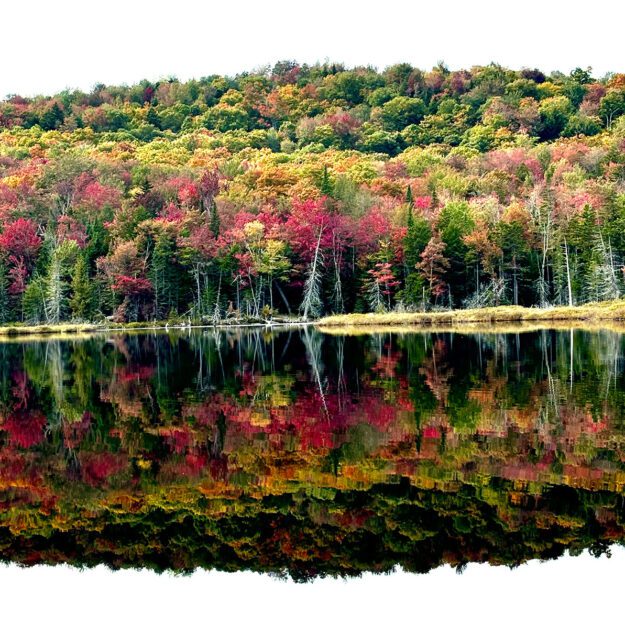 fall foliage color reflected in a lake