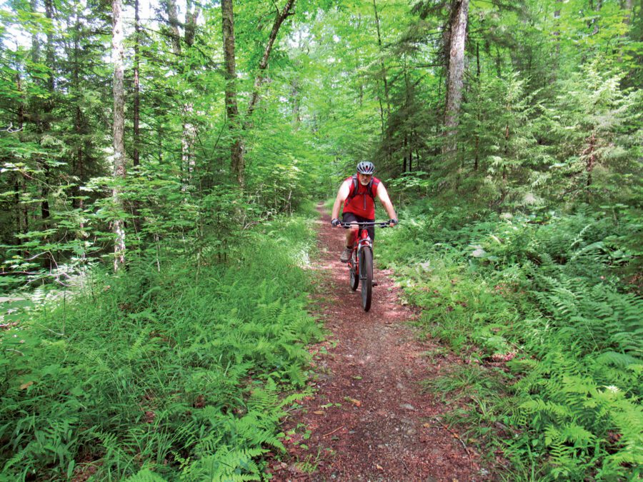 Man on a mountain bike steers through a shaded Moose River Plains trail. 