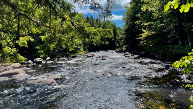 The Sacandaga River above Auger Falls.