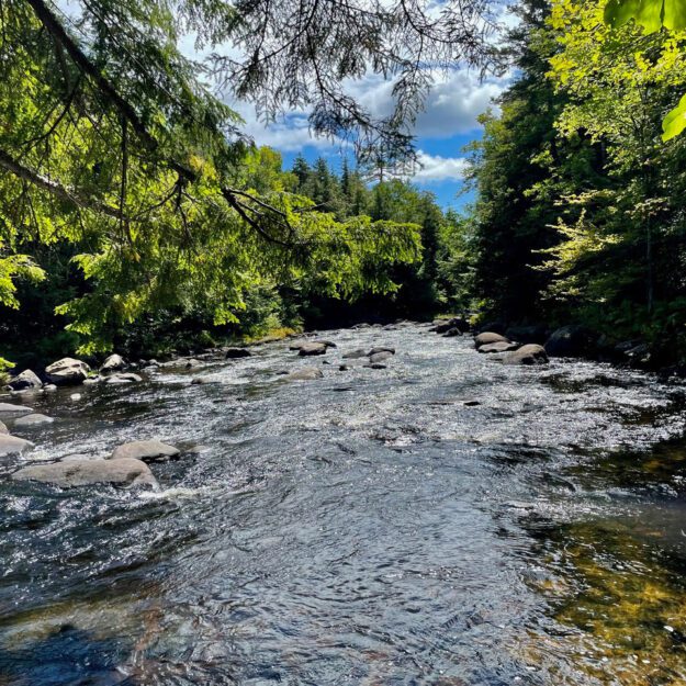 The Sacandaga River above Auger Falls.