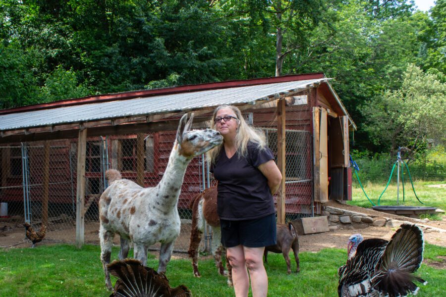 A woman receives a kiss from her llama on her farm in the Adirondack Park