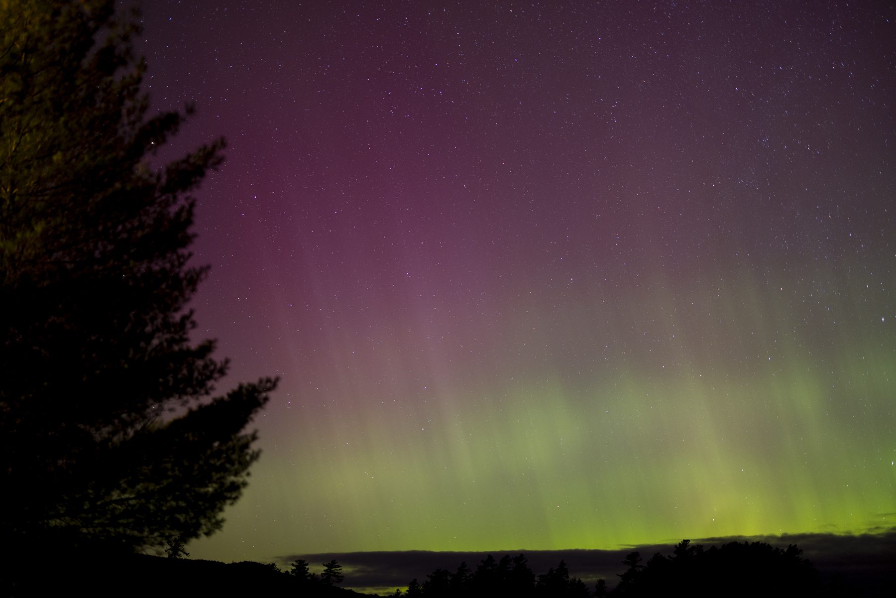 Northern Lights in the Adirondack Park. Photo by Mike Lynch