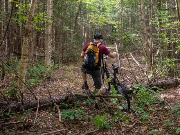 Man with bike navigates a log across a trail