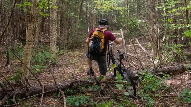 Man with bike navigates a log across a trail