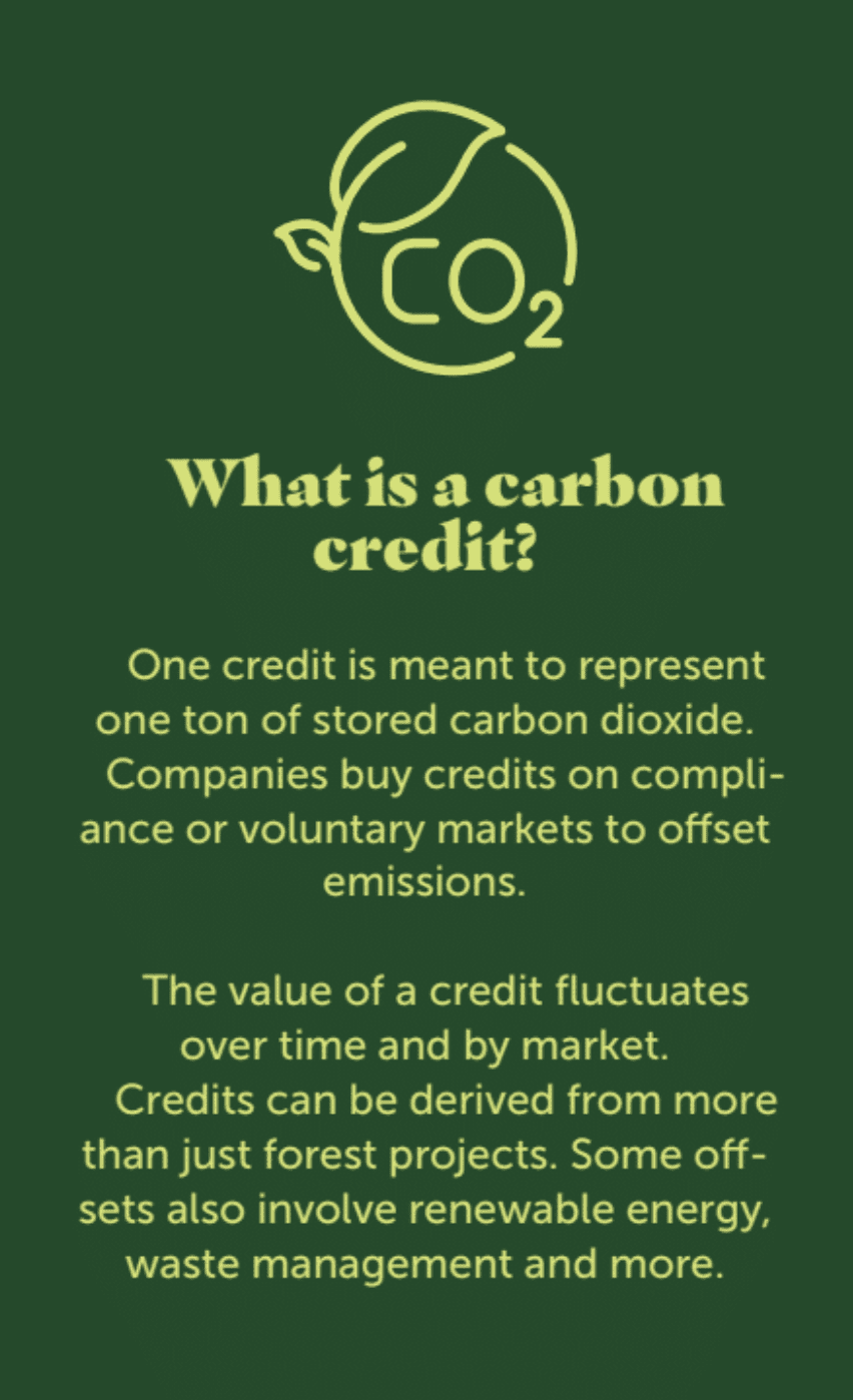 A graphic describes what a carbon credit is.