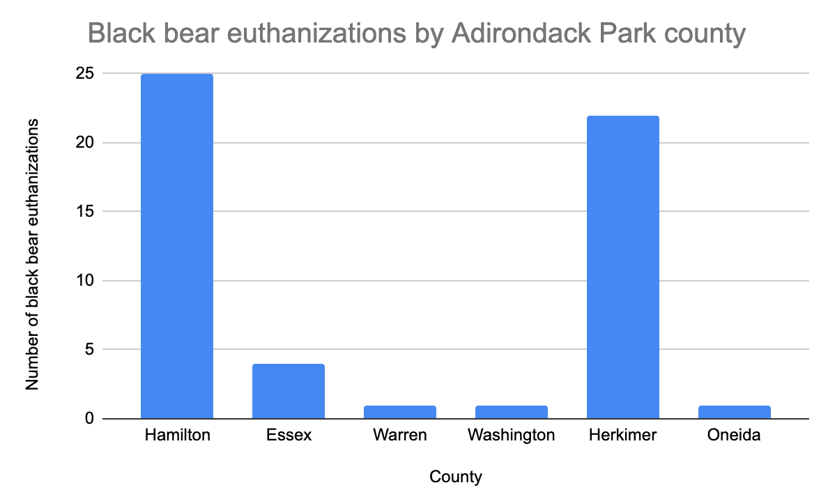 Black bear euthanizations based on human-bear conflicts by Adirondack county